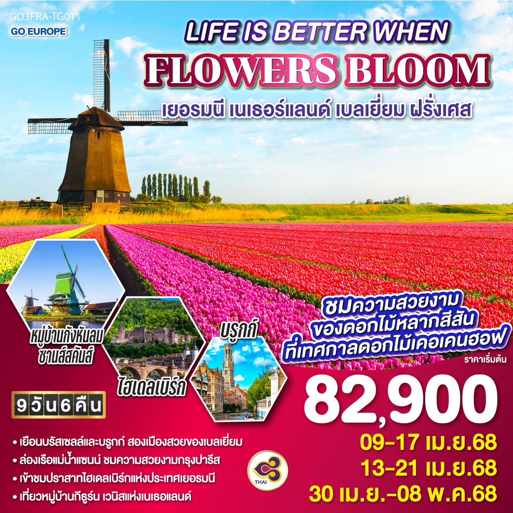 เยอรมนี เนเธอร์แลนด์ เบลเยี่ยม ฝรั่งเศส 9 วัน 6 คืน LIFE IS BETTER WHEN FLOWERS BLOOM 