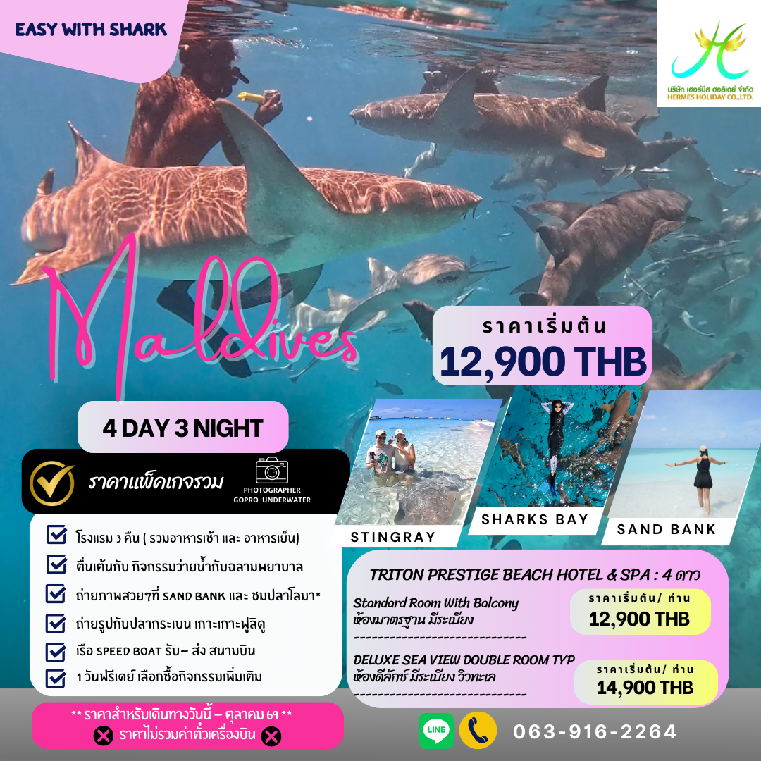 แพ็คเกจทัวร์ มัลดีฟส์ 4 วัน 3 คืน ว่ายน้ำกับฉลาม พักเกาะมาฟูชิ แพ็คเกจทัวร์ มัลดีฟส์ 4 วัน 3 คืน ว่ายน้ำกับฉลาม พักเกาะมาฟูชิ