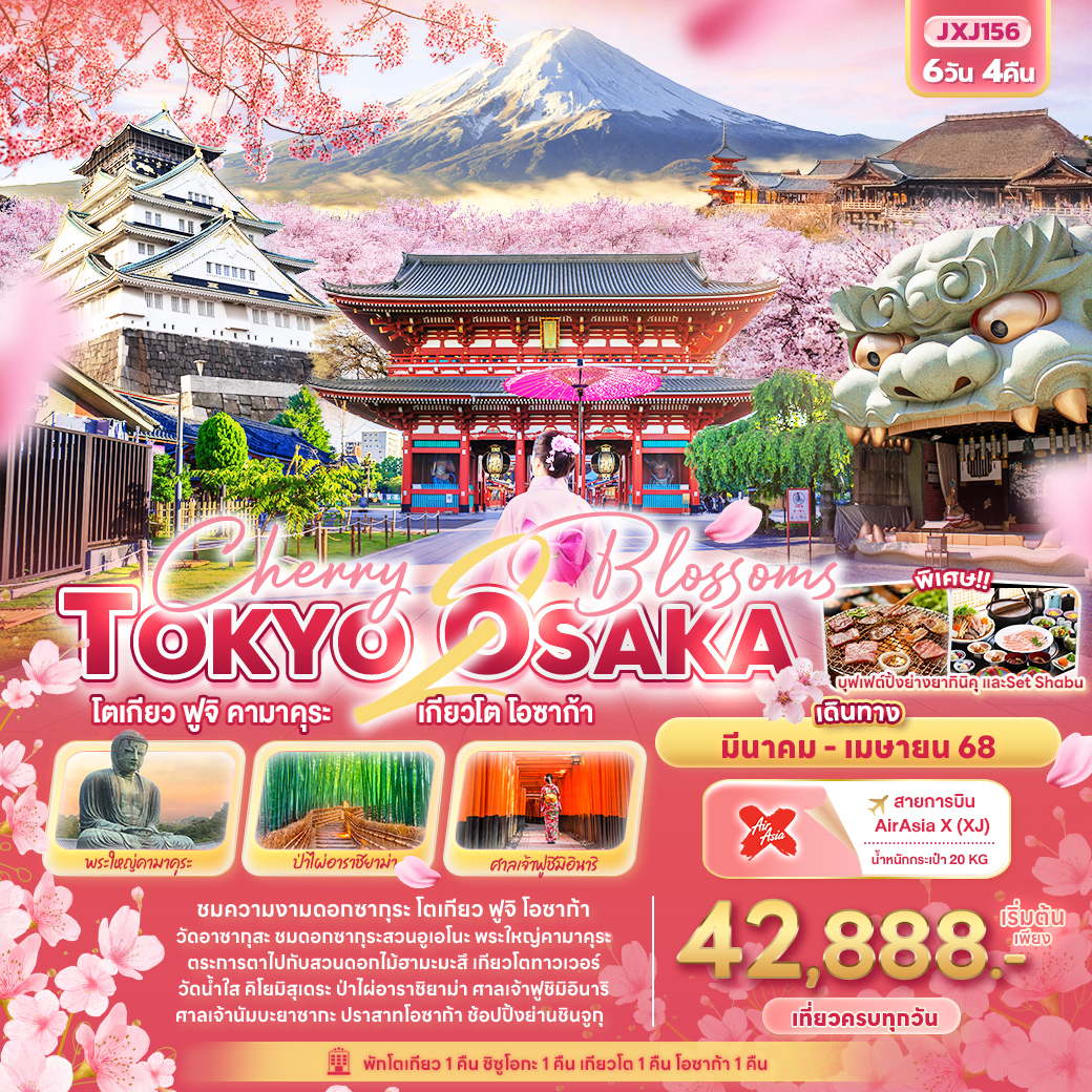 Cherry 2 blossoms TOKYO OSAKA โตเกียว ฟูจิ คามาคุระ เกียวโต โอซาก้า 6 วัน 4 คืน