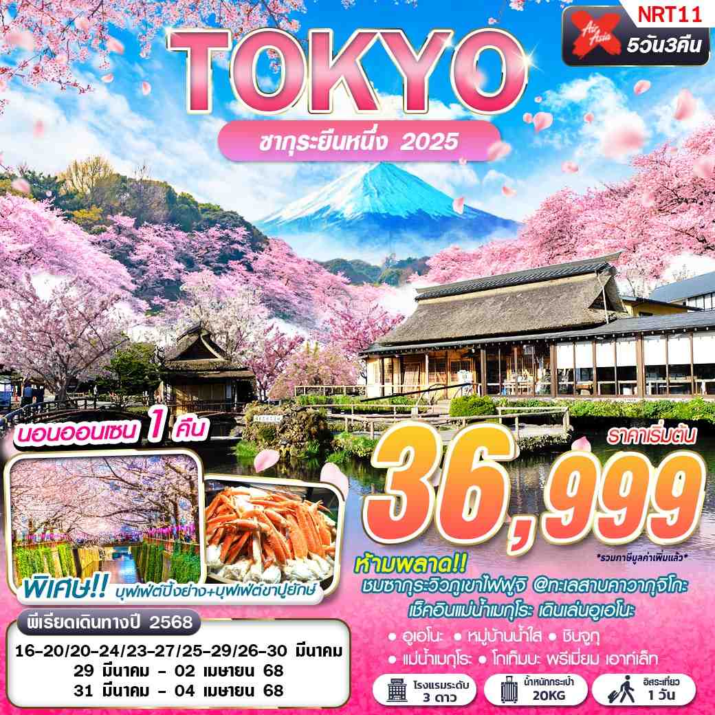 โตเกียว ฟูจิ ชมซากุระ หมู่บ้านน้ำใส 5 วัน 3 คืน อิสระ 1 วัน